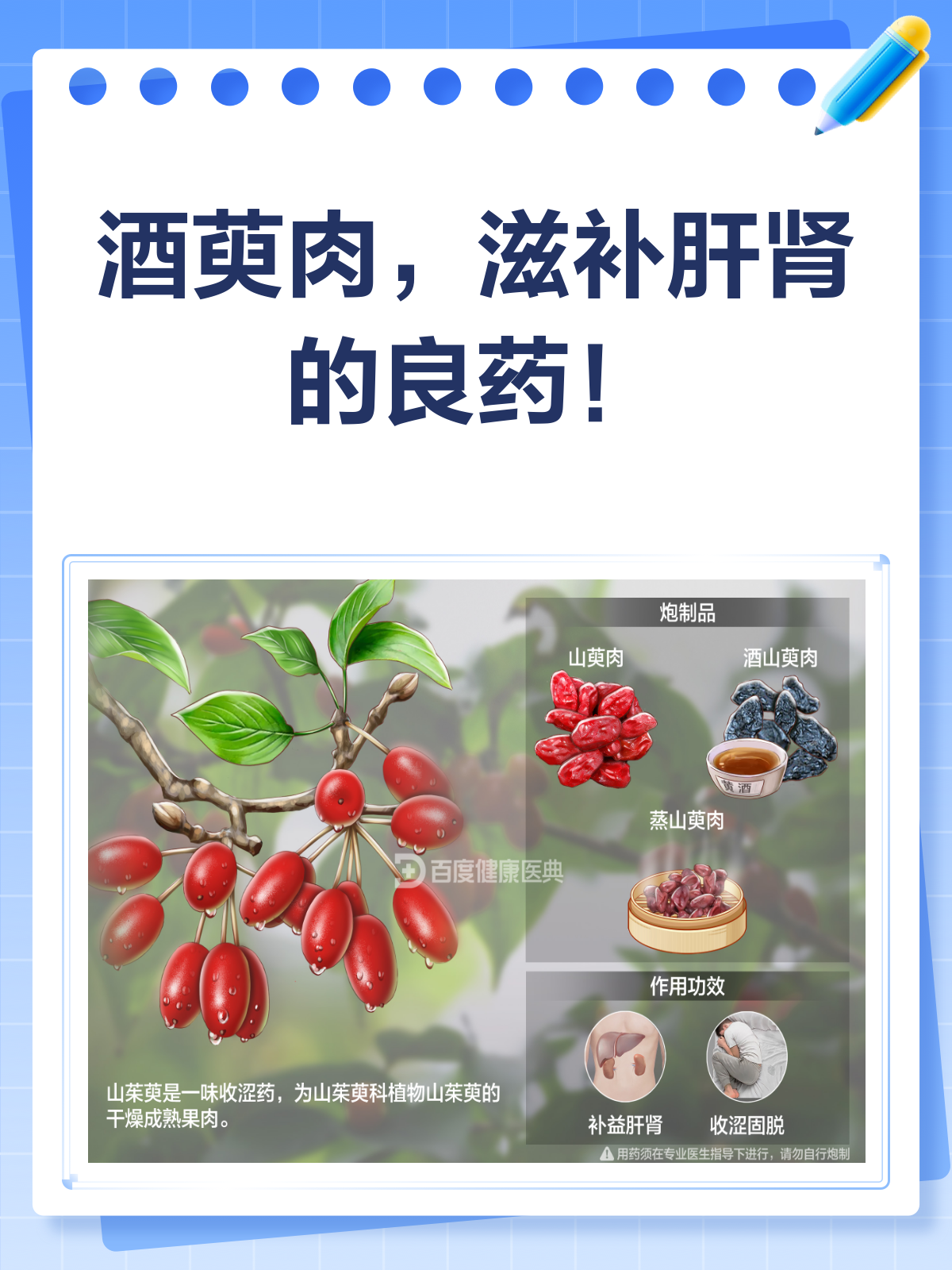 酒萸肉：滋补肝肾的“秘密武器”