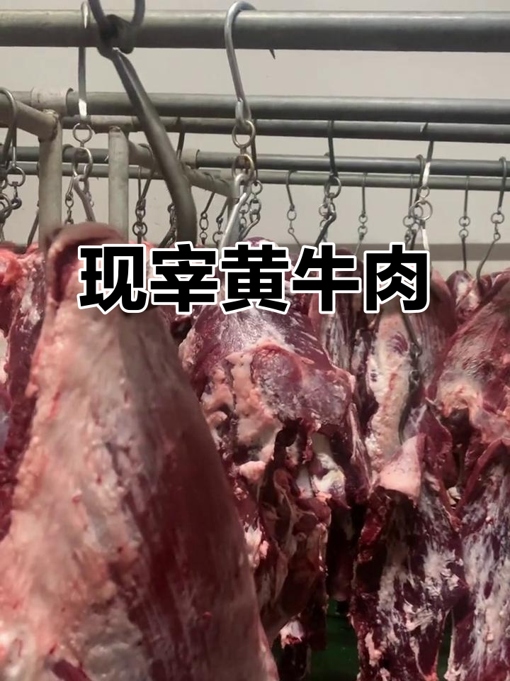 新鲜黄牛肉,品质保证!现宰直供,放心吃