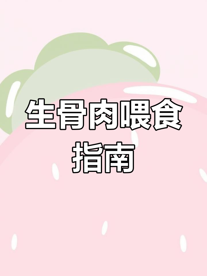 猫咪吃生骨肉的好处与注意事项