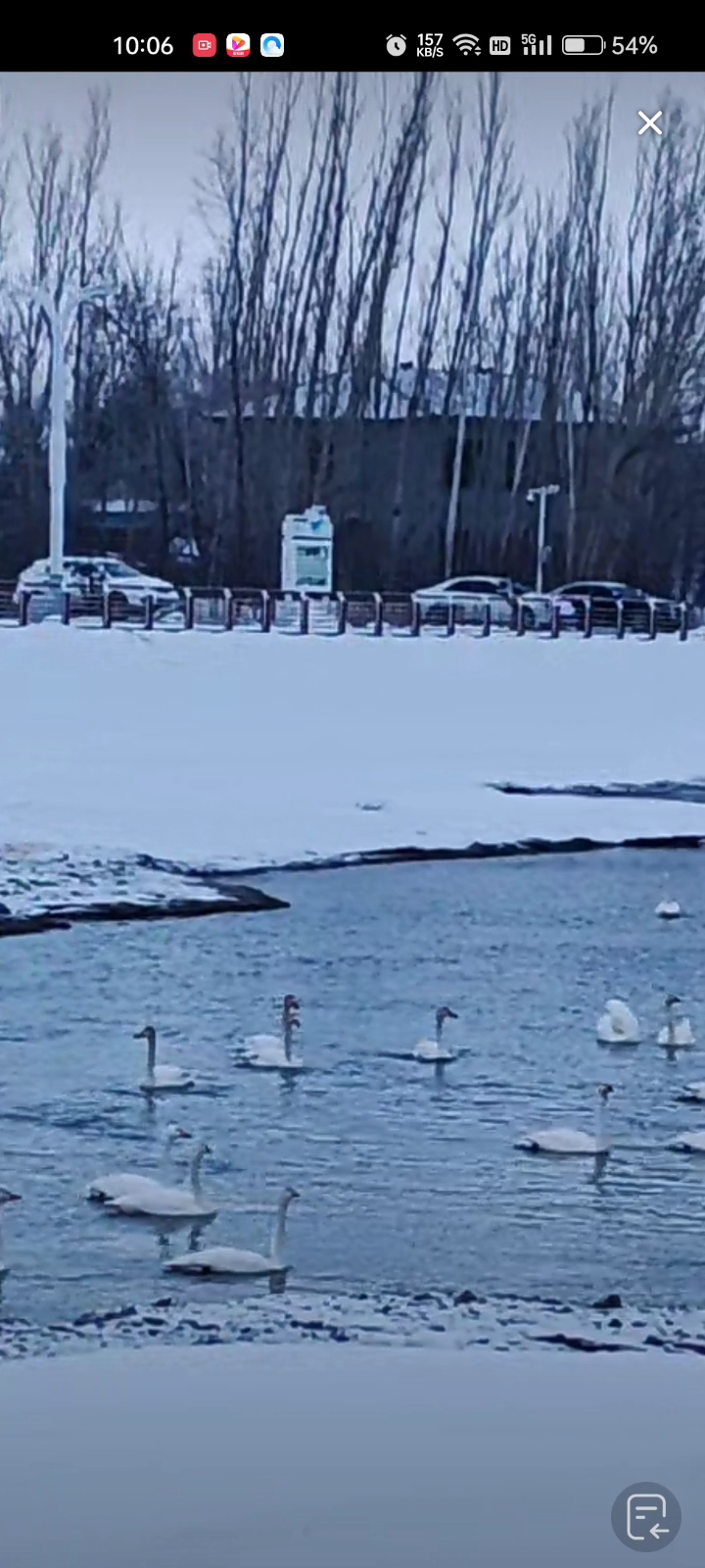 新疆塔城额敏县天鹅湖冬天雪景,天鹅唤出她优美绵长的歌声