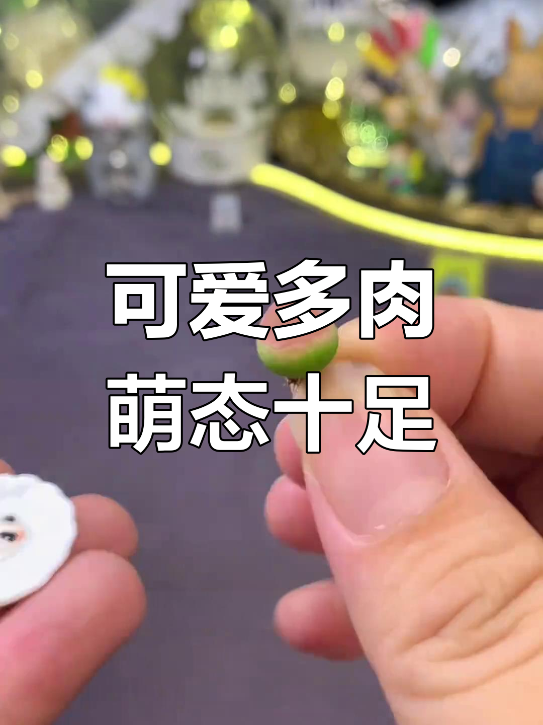 多肉也能长成这样!简直像动漫角色