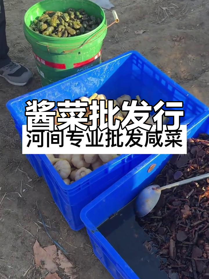 河间酱菜批发,牛羊市场旁的咸味天堂
