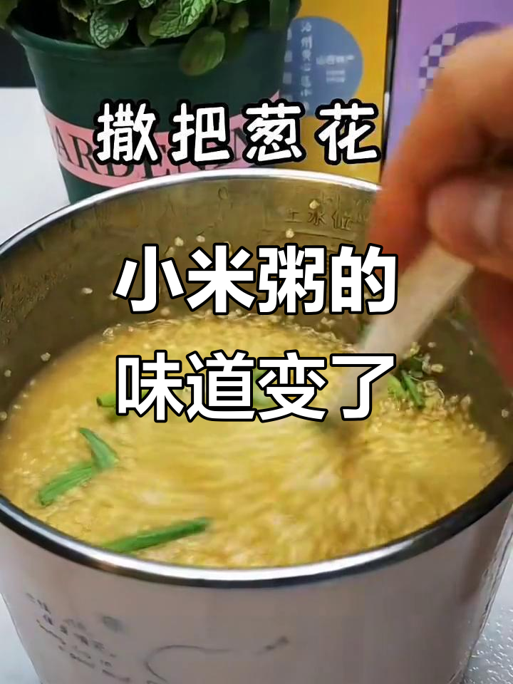 前女友的小米粥,味道再也找不回来了