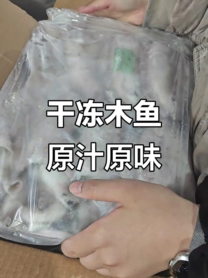 山东干冻目鱼,口感鲜美无泡水