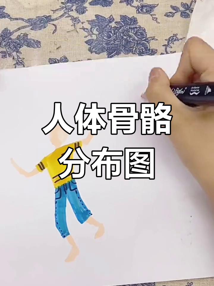 人体骨骼结构与简笔画技巧