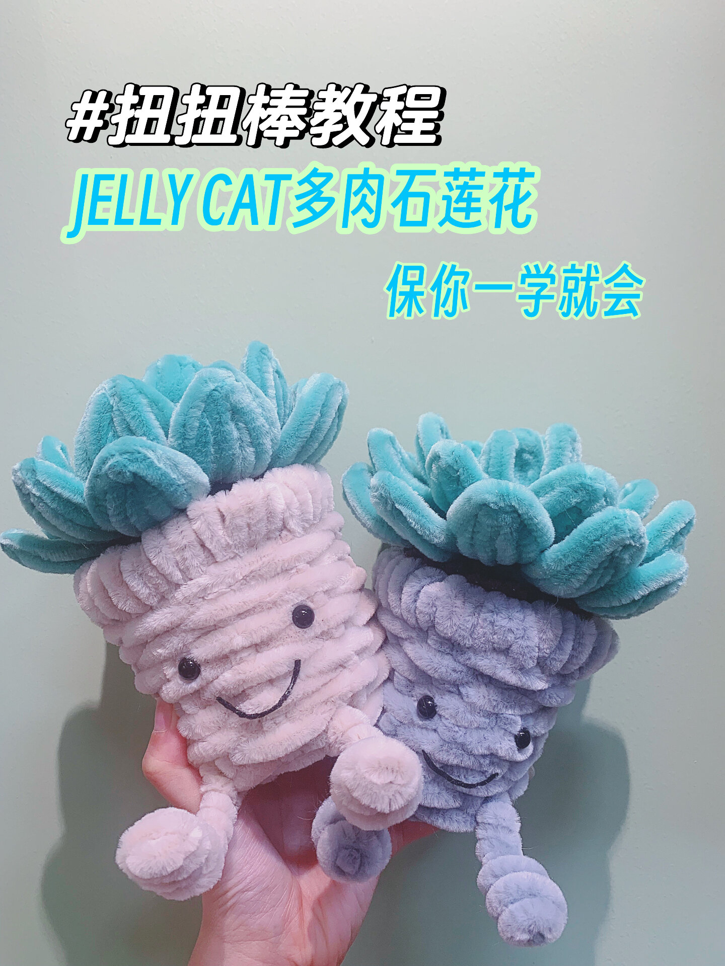 你们最爱的多肉盆栽扭扭棒教程(上)来啦