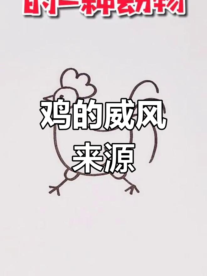鸡为何走路如此威风?竟和恐龙有关系!