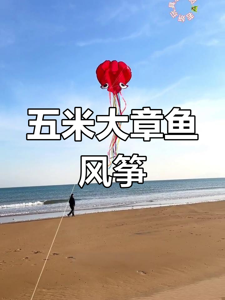 春天放风筝,五米大章鱼风筝带你飞