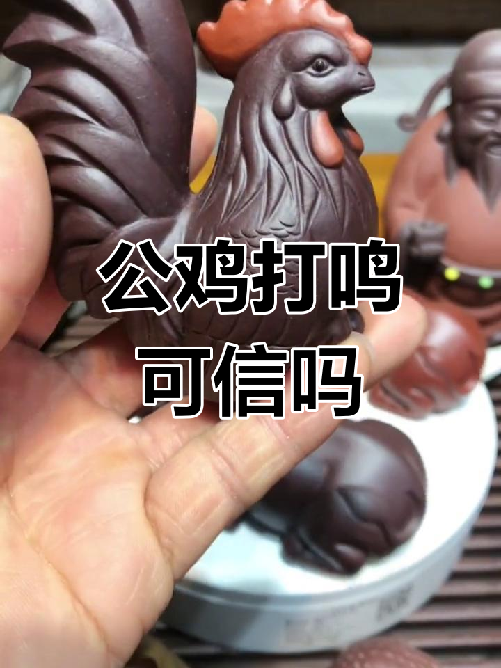 大公鸡报晓是否真实