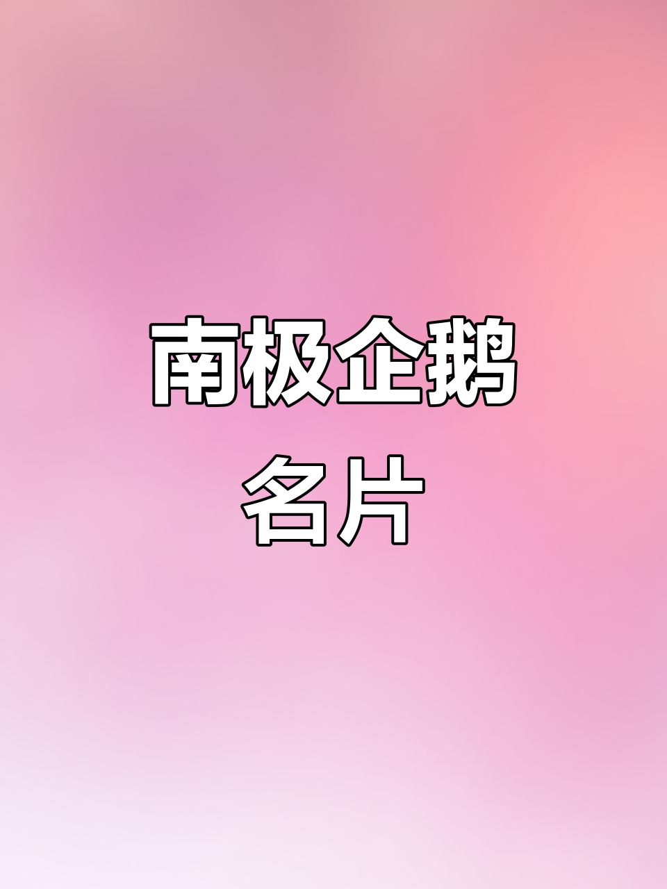 速来!南极企鹅名片大揭秘,秒懂冰川世界