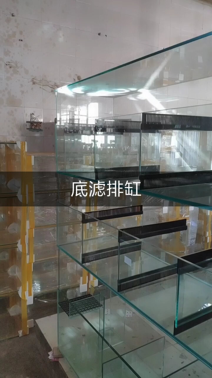 底滤排缸 鱼房鱼缸设计案例