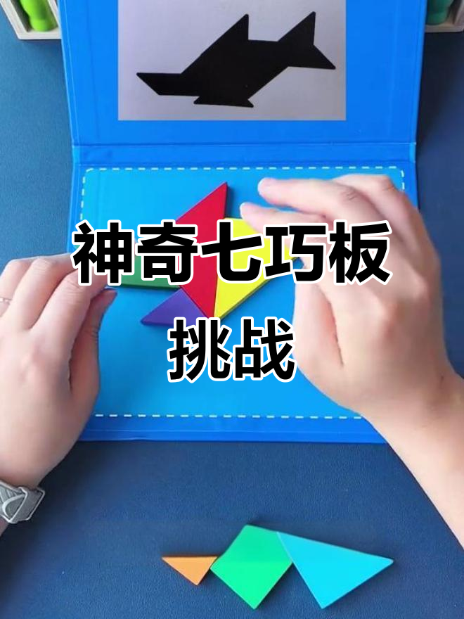 七巧板拼出鲨鱼,创意无限锻炼思维