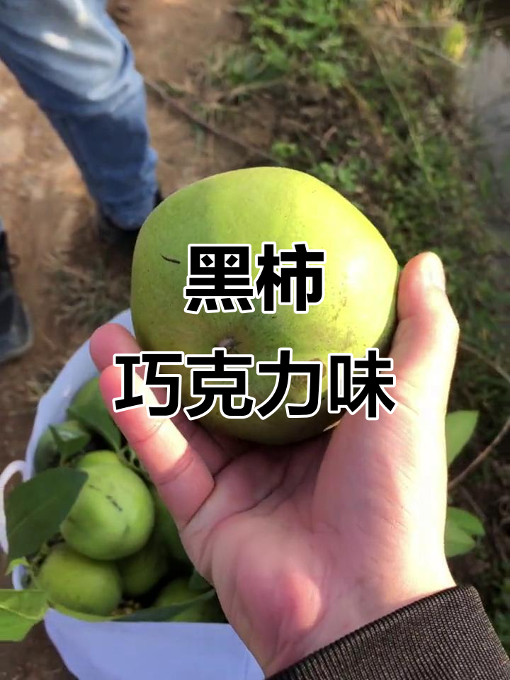 巧克力黑柿:独特黑色水果,口感如巧克力的柿子