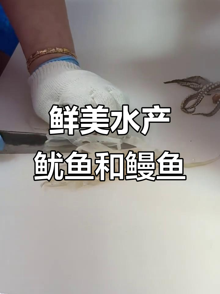 水产市场新鲜鱿鱼与鳗鱼的独特魅力