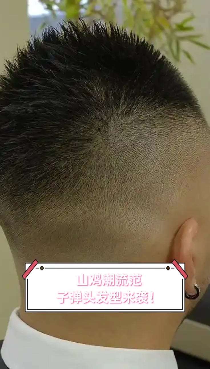 山鸡潮流范,子弹头发型来袭!