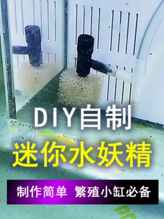 DIY繁殖小缸迷你水妖精,材料简单制作方便