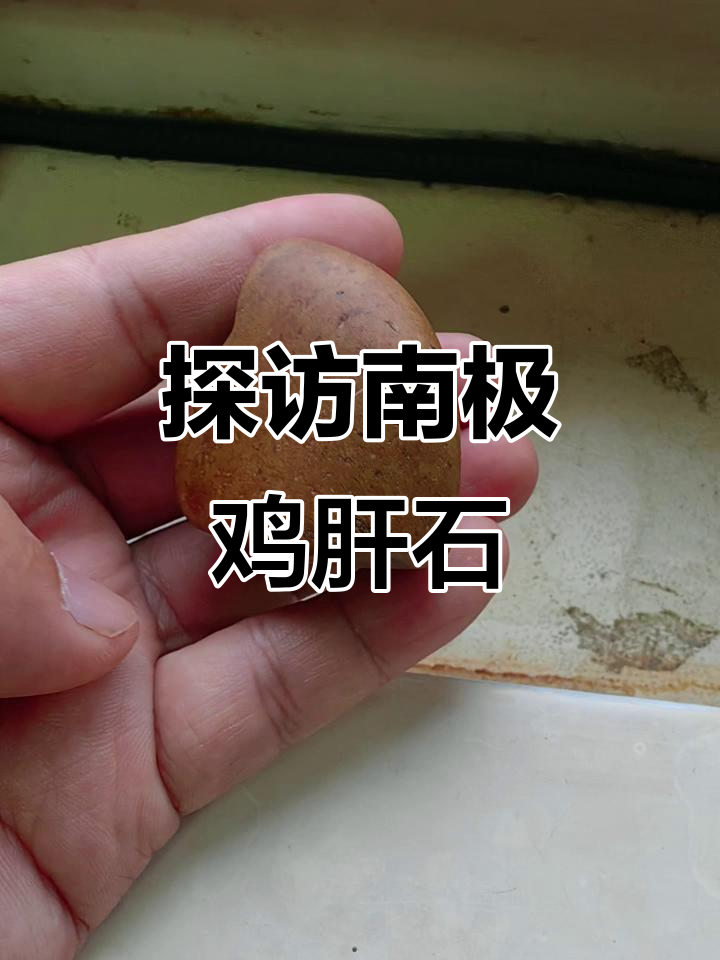 南极鸡肝石揭秘:神秘的自然奇观