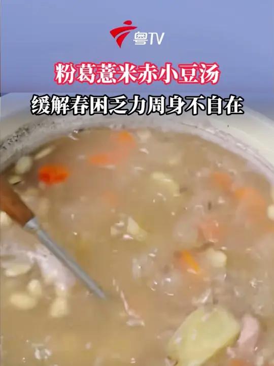 广州回南天即将“到货”，粉葛薏米赤小豆汤，缓解春困乏力