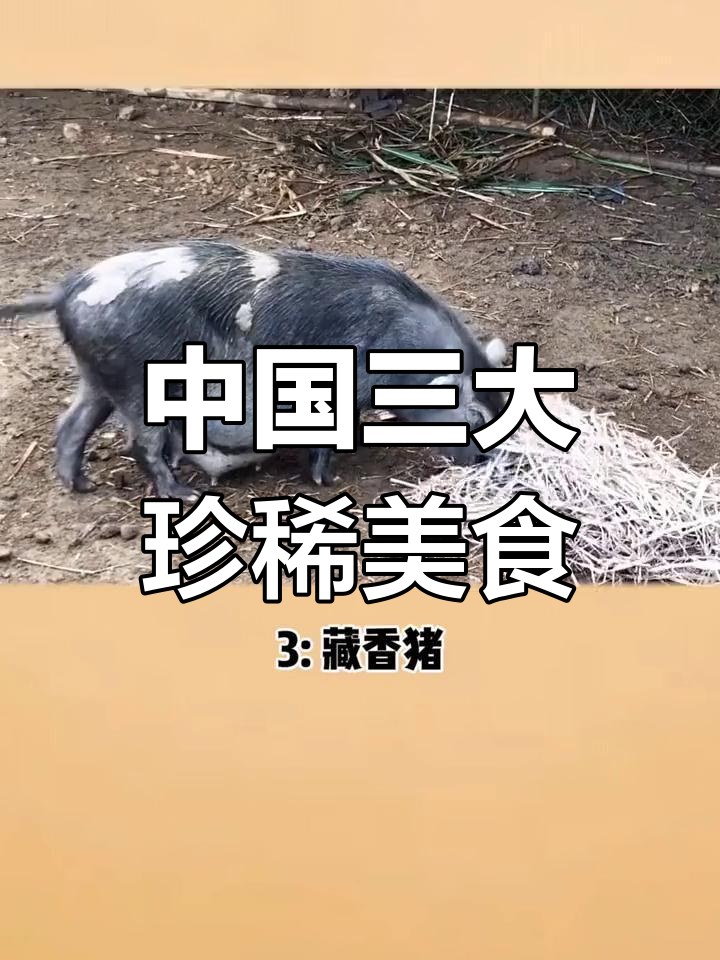 这些顶级食材,你吃过吗?