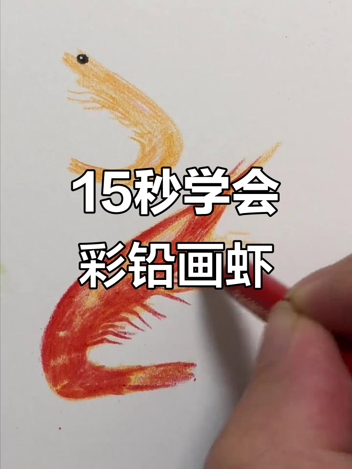 用彩铅轻松画虾，步骤简单又有趣