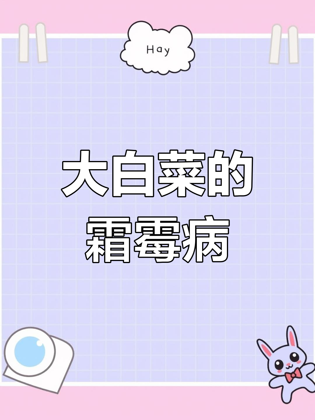 白菜霜霉病防治指南