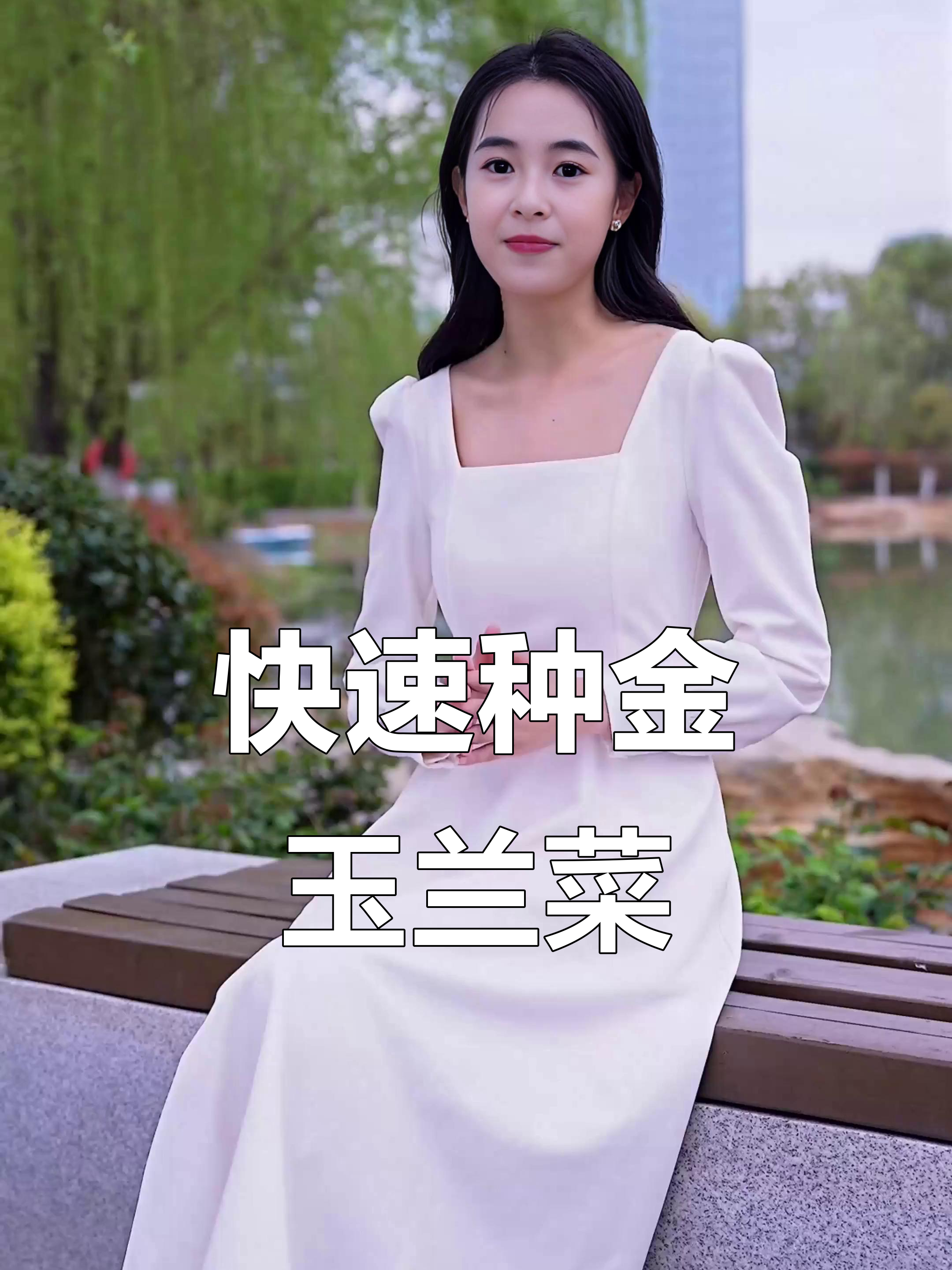 金玉兰菜根苗种植技巧,20天收获美味营养