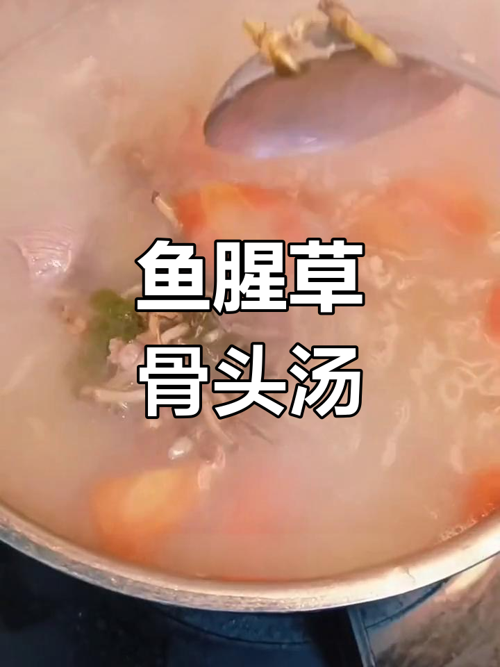 冬季滋补鱼腥草骨头汤做法