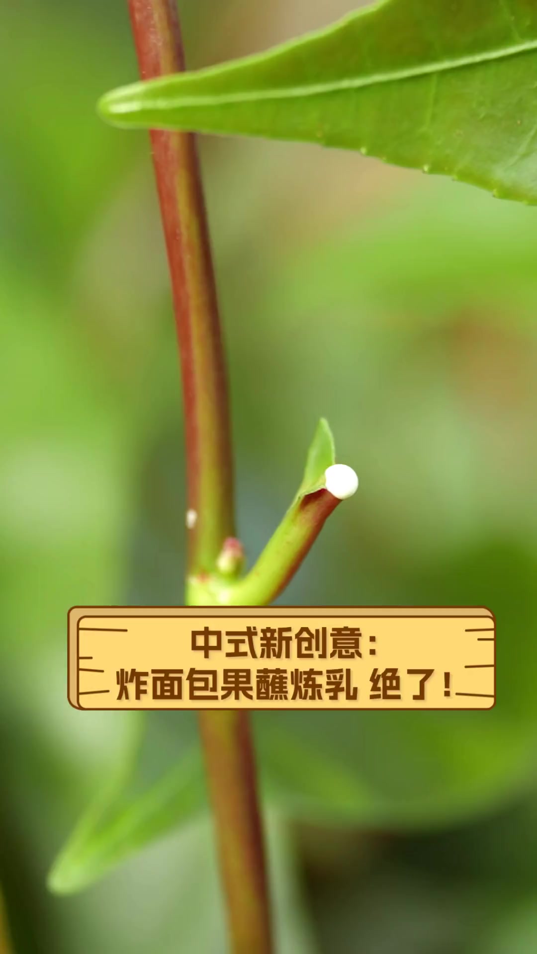 中式新创意:炸面包果蘸炼乳,绝了!