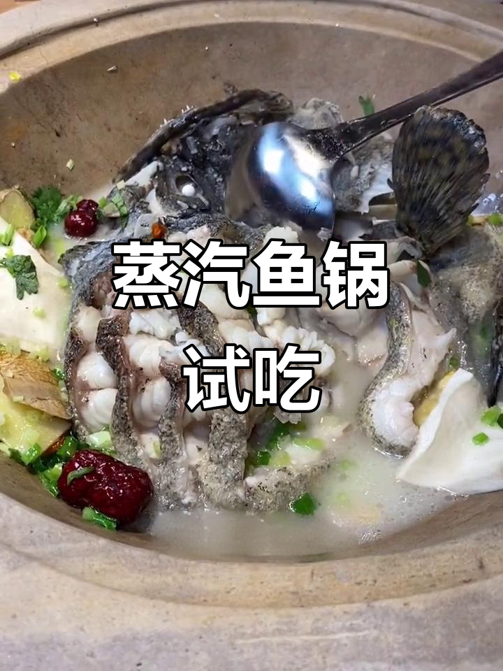 漳州蒸汽鱼火锅，深海龙胆石斑鱼的鲜美体验