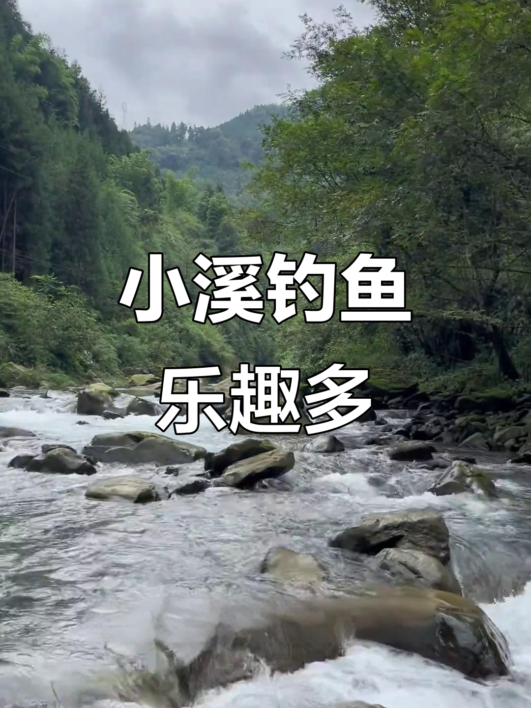 深山小溪钓冷水鱼，柳根和未知新种频频上钩