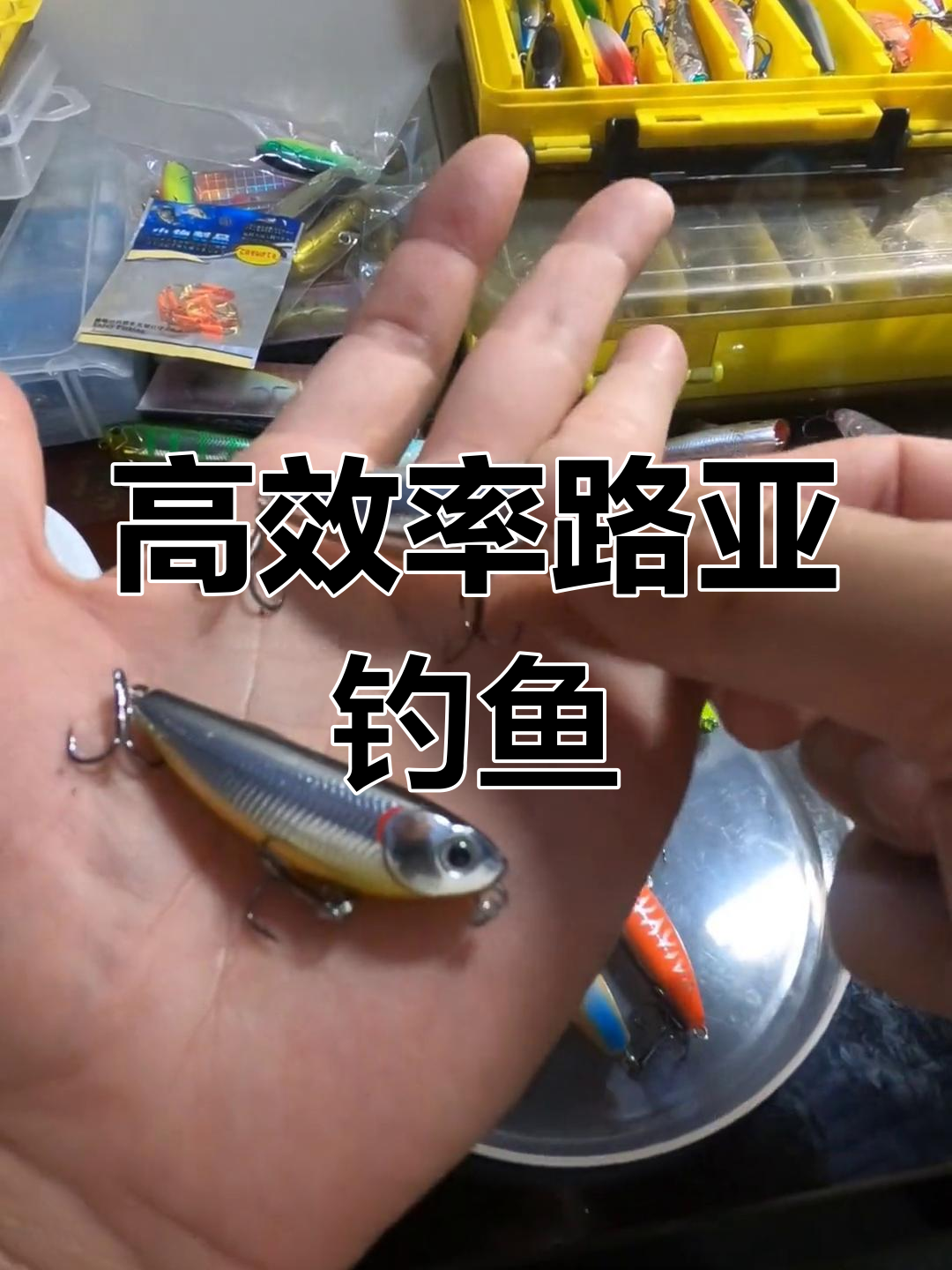 高效钓军鱼饵料选择与操作技巧