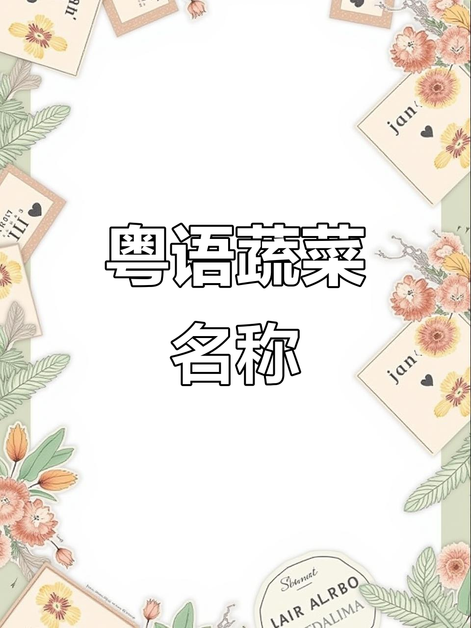 粤语蔬菜大揭秘:香菜、土豆等常见食材的本地叫法