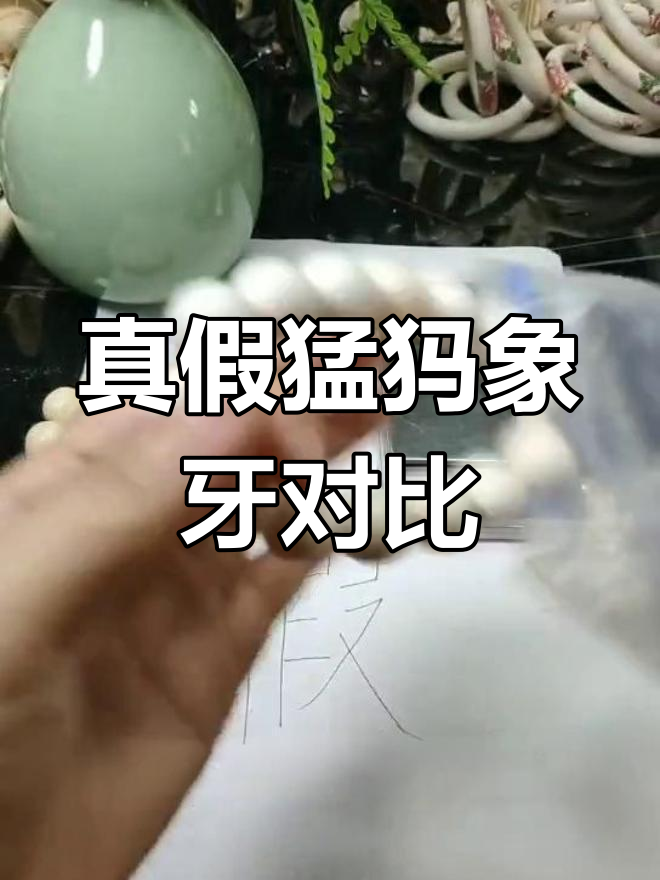 如何辨别猛犸象牙手串真伪