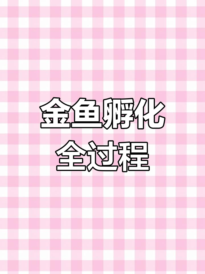 小金鱼的生命奇迹：从卵到幼苗再到成长