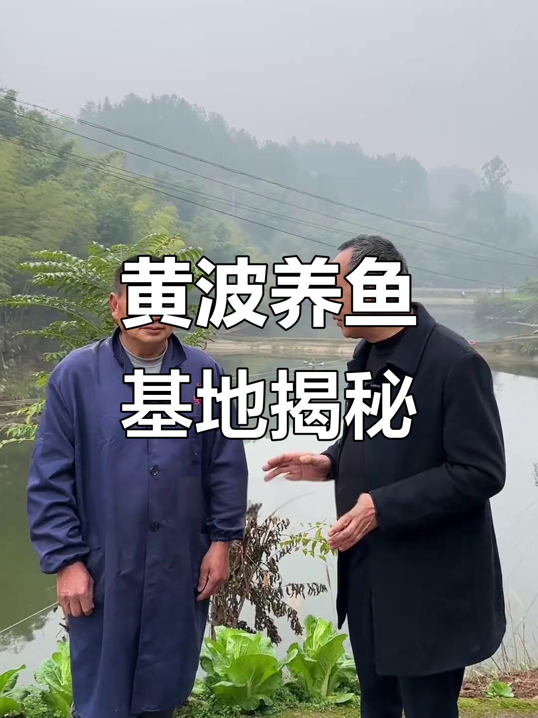 南川黄波养鱼基地:从五十亩到十万斤,养殖大户的成长之路