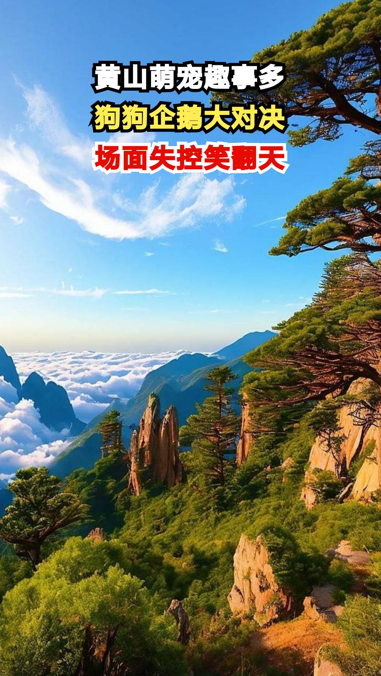 黄山景区惊现狗狗与企鹅爆笑对决,谁才是最后的赢家?
