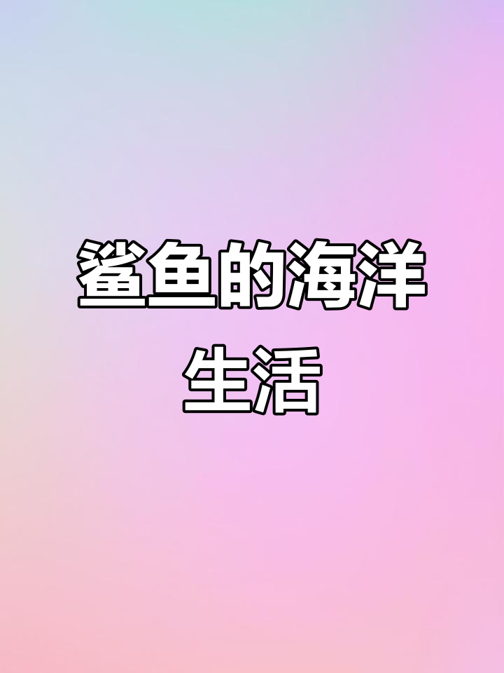 鲨鱼海底发现救生圈,锋利牙齿和游泳本领大揭秘