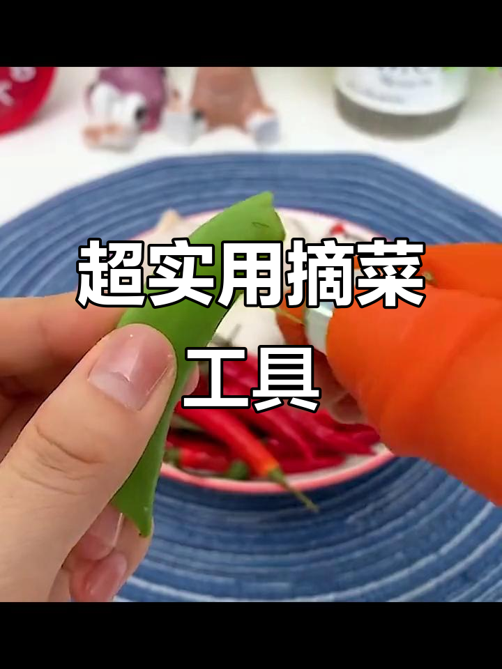 这款神器让摘菜更轻松,剥蒜刮皮都能搞定
