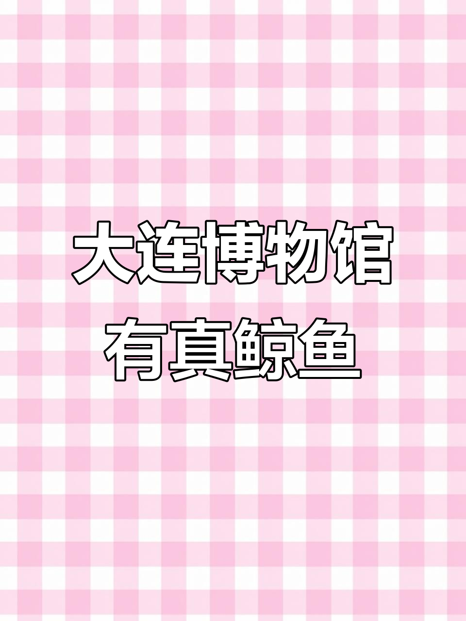 大连自然博物馆的鲸鱼标本震撼来袭，海洋生物全览