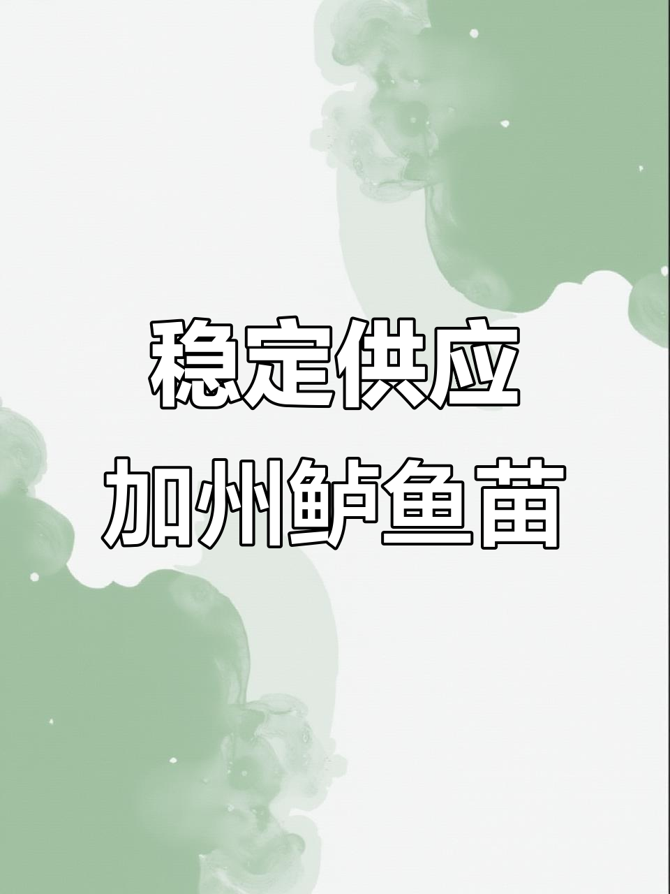 高质量加州鲈鱼苗,成活率高、抗病力强