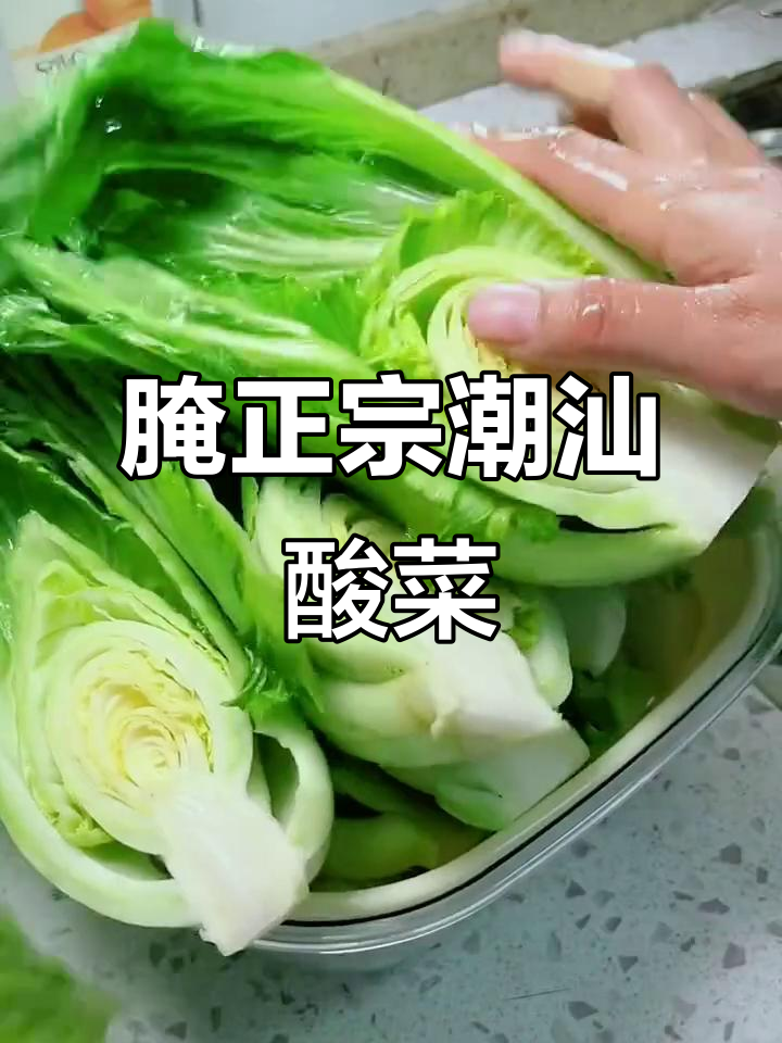 潮汕酸菜腌制秘籍,地道家乡味