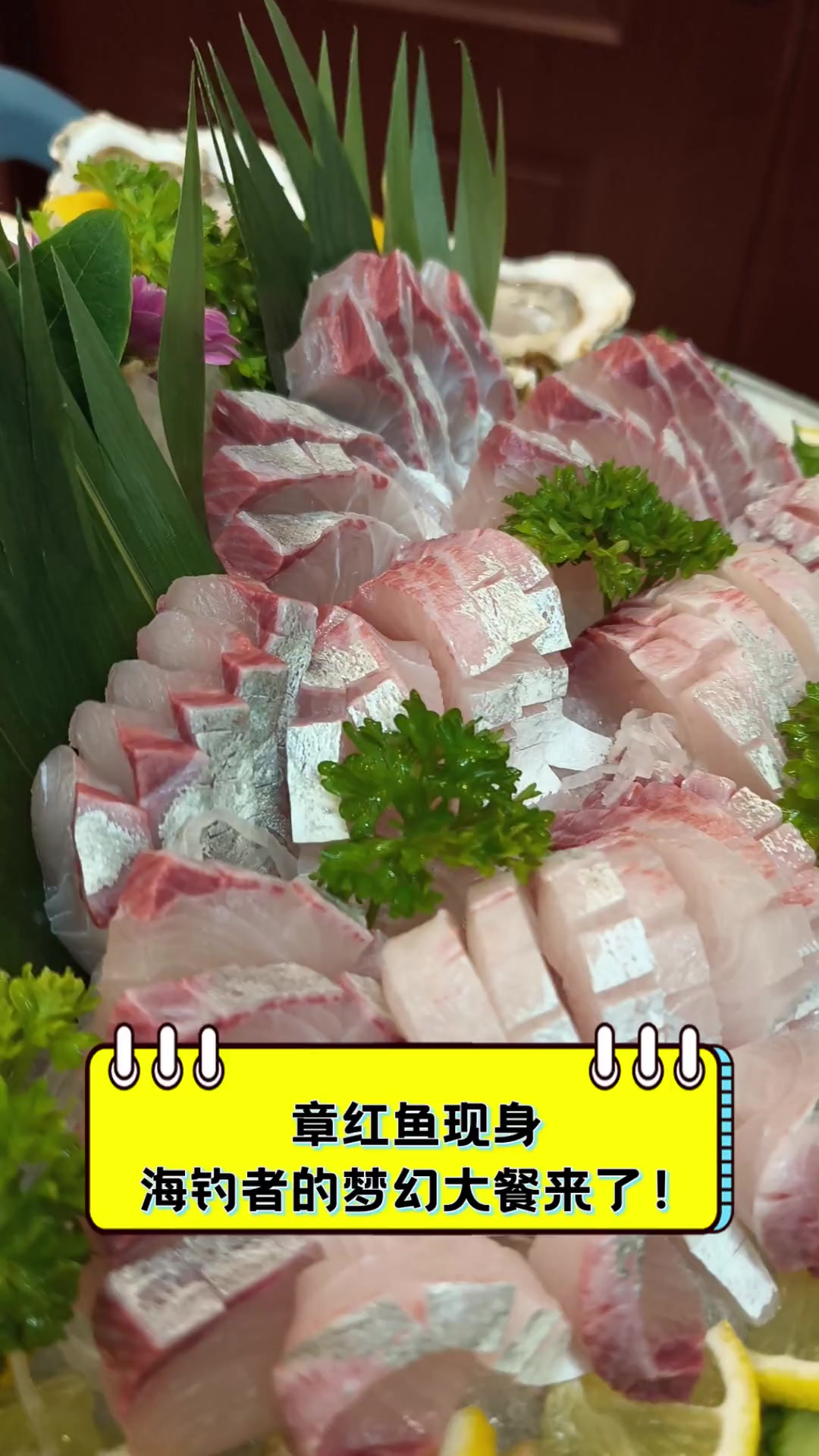 章红鱼现身,海钓者的梦幻大餐来了!