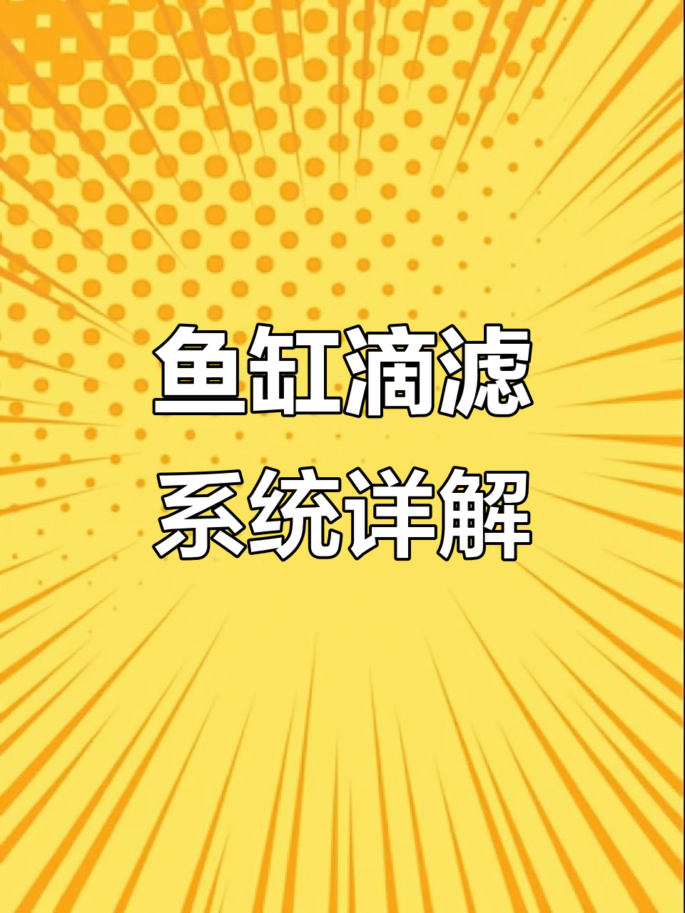 鱼缸升级大揭秘:滴滤盒结构全解析