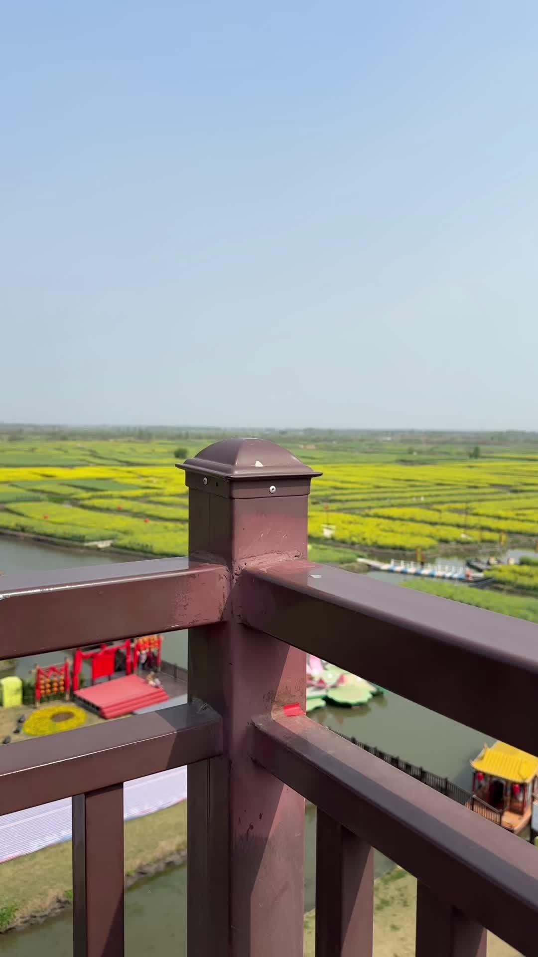 千垛菜花风景区