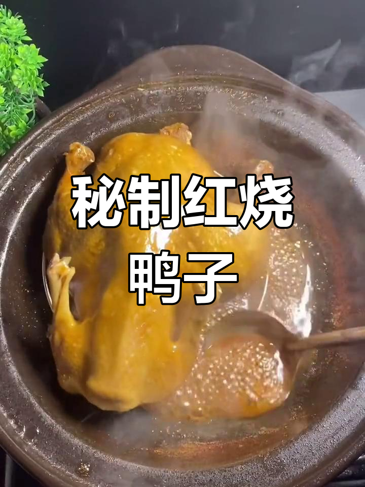 砂锅炖鸭,软嫩美味