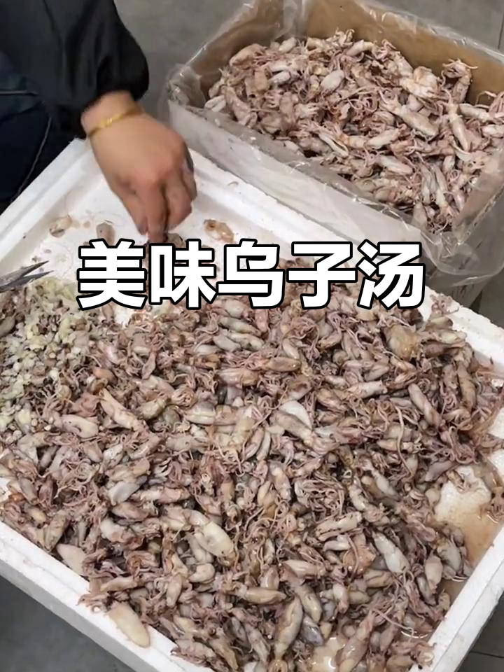 顶级乌子,搭配萝卜丝瓜烧汤,鲜美十足,口感绝佳!