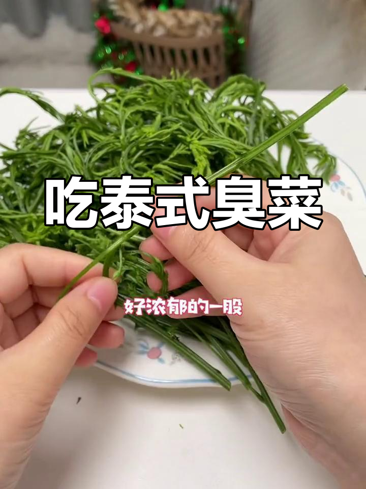 泰国臭菜挑战:吃了停不下来