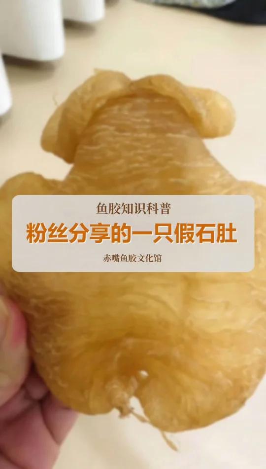 这石肚赤嘴假的!