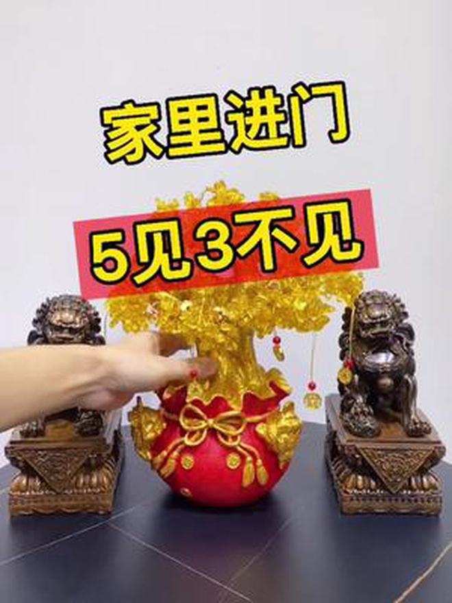 家里进门5见3不见 好物推荐 摆件 软装搭配