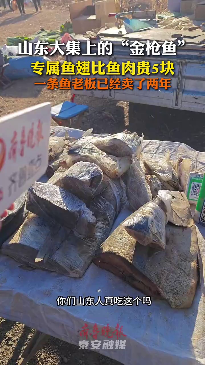 山东大集上的“金枪鱼”,专属鱼翅比鱼肉贵5块 泰山 赶大集 年味 山东金枪鱼  1月9日,